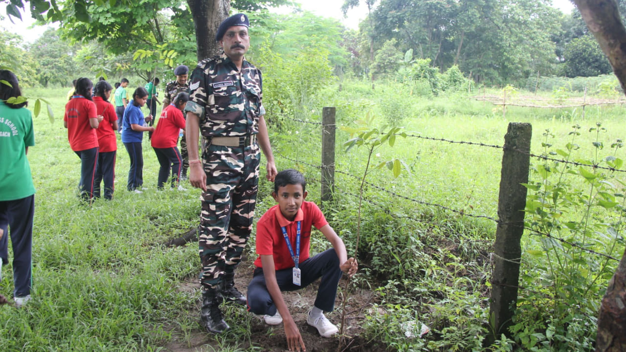 Tree Plantation